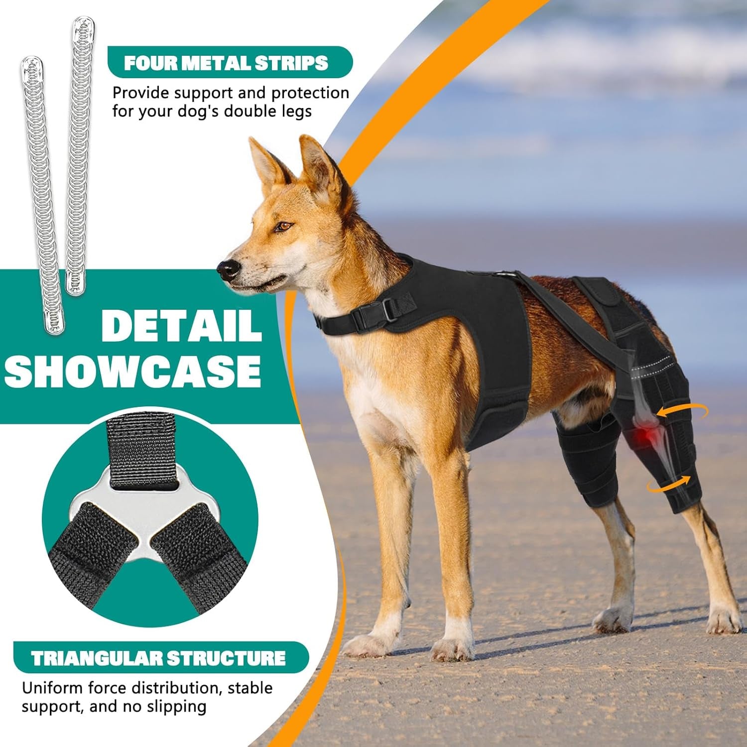 Dog Knee Braces for Torn Acl Hind Leg, Adjustable Joint Brace Non-Slip | Double Leg Support with Vest，Ccl Tear, Arthritis, Patella Luxating Recovery Cruciate Care for Small Medium Large Dog, M