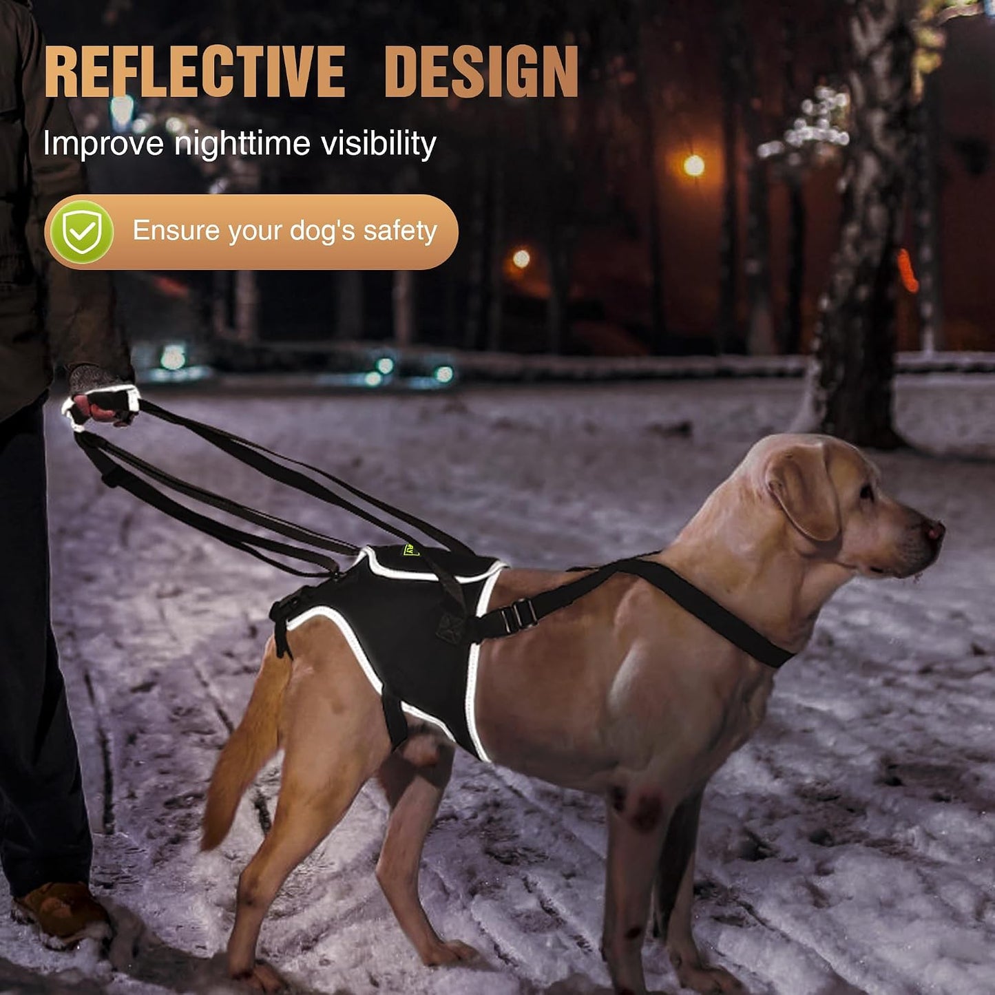 Dog Lift Harness for Large Senior Dogs, Back Leg Walking Aid | Helps Senior Dogs with Weak Back Legs Get Up, Walk, and Climb Stairs with Comfortable Lifting Assistance for Daily Mobility