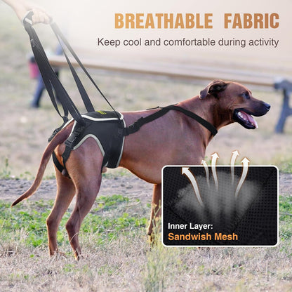 Dog Lift Harness for Large Senior Dogs, Back Leg Walking Aid | Helps Senior Dogs with Weak Back Legs Get Up, Walk, and Climb Stairs with Comfortable Lifting Assistance for Daily Mobility