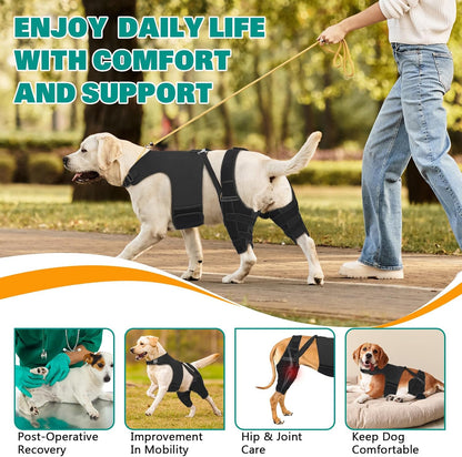 Dog Knee Braces for Torn Acl Hind Leg, Adjustable Joint Brace Non-Slip | Double Leg Support with Vest，Ccl Tear, Arthritis, Patella Luxating Recovery Cruciate Care for Small Medium Large Dog, M