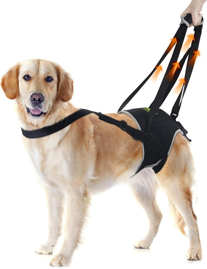 Dog Lift Harness for Large Senior Dogs, Back Leg Walking Aid | Helps Senior Dogs with Weak Back Legs Get Up, Walk, and Climb Stairs with Comfortable Lifting Assistance for Daily Mobility