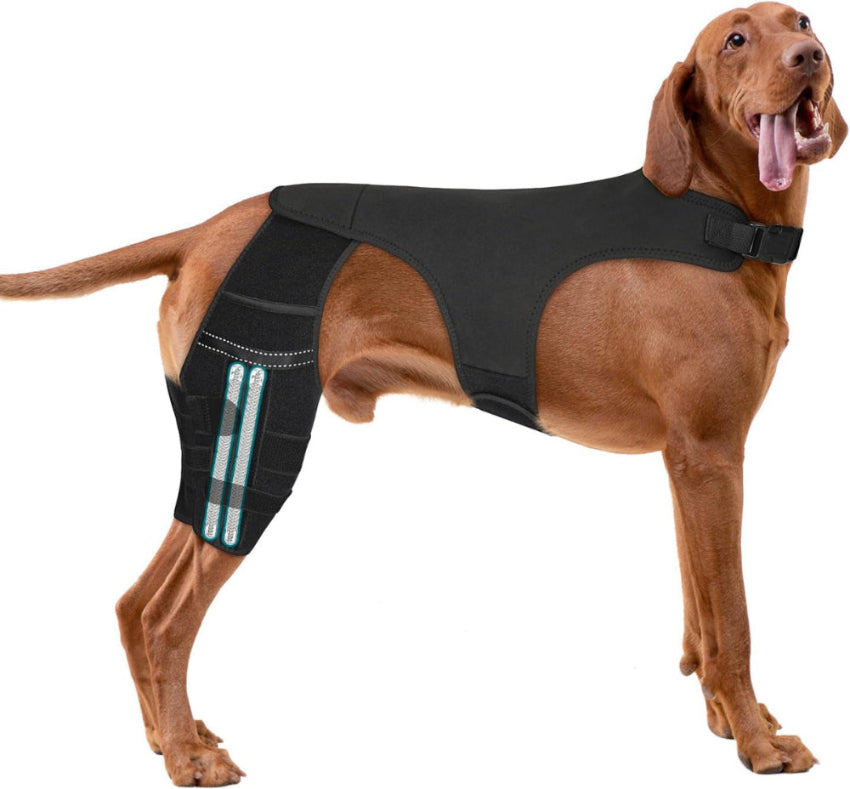 Adjustable Dog Knee Brace for ACL Tear and Arthritis Recovery - Dual Hind Leg Support with Harness Connection - Orthopedic Leg Wrap for Joint Stability and Pain Relief in Small to Large Dog ( (3XL)