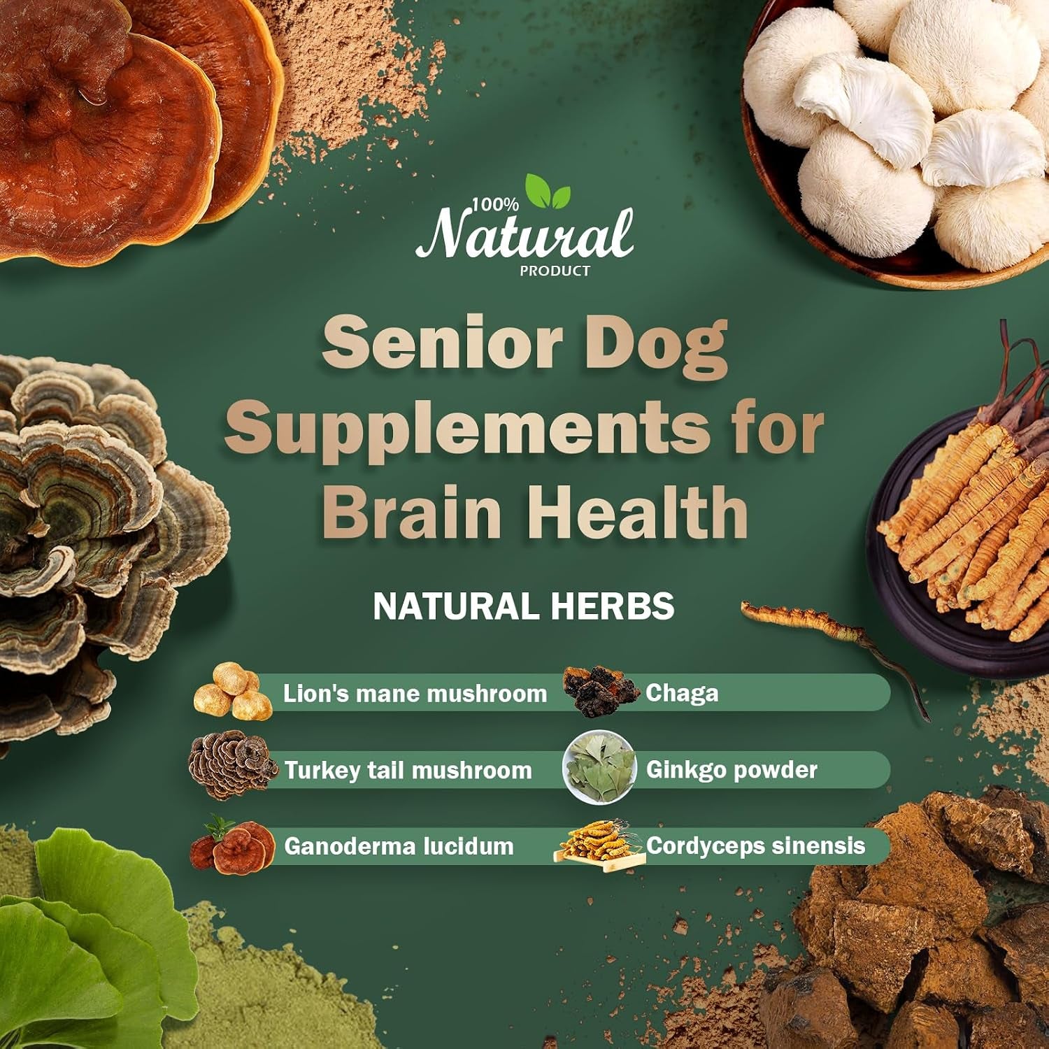 Senior Dog Supplements for Brain Health & Nervous System Support, Mushroom Supplement for Dogs, Dementia Supplement for Calming & Relaxation, Addresses Getting Lost, Social Withdrawal - 59 ML