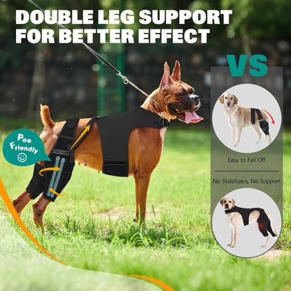 Dog Knee Braces for Torn Acl Hind Leg, Adjustable Joint Brace Non-Slip | Double Leg Support with Vest，Ccl Tear, Arthritis, Patella Luxating Recovery Cruciate Care for Small Medium Large Dog, M