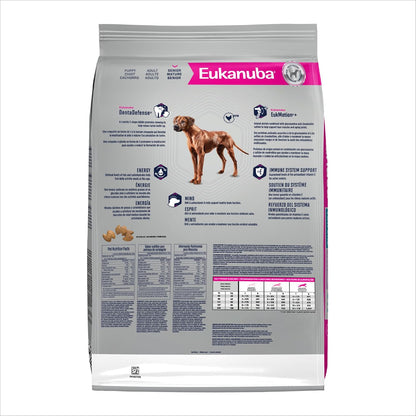 Senior Large Breed Dry Dog Food, 33 Lb Bag