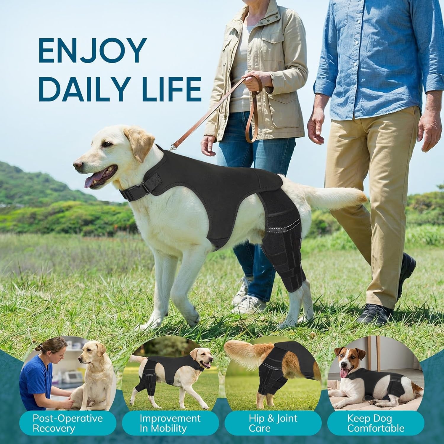 Adjustable Dog Knee Brace for ACL Tear and Arthritis Recovery - Dual Hind Legs Support with Harness Connection - Orthopedic Leg Wrap for Joint Stability and Pain Relief in Small to Large Dogs (XS)